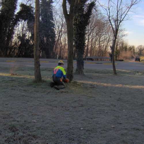 Lestizza 26/01 foto n. 2 / 20244