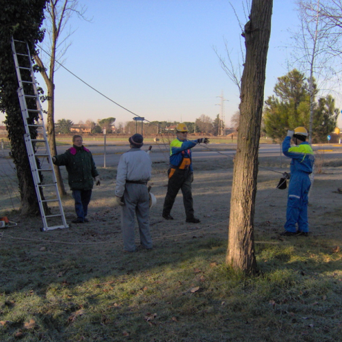 Lestizza 26/01 foto n. 3 / 20245