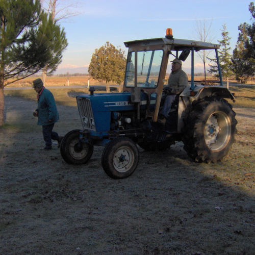 Lestizza 26/01 foto n. 4 / 20246