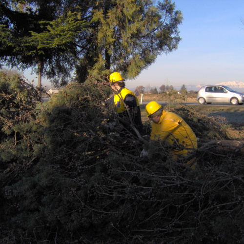Lestizza 26/01 foto n. 5 / 20247