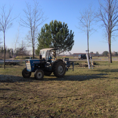 Lestizza 26/01 foto n. 7 / 20249