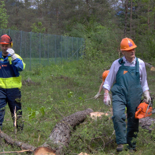 Foto Addestramento 9 / 51707