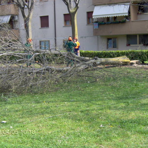 foto Cordenons 05/04/08 n. 13 / 22348
