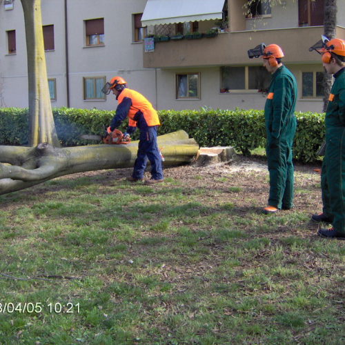 foto Cordenons 05/04/08 n. 16 / 22351