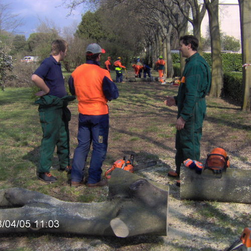 foto Cordenons 05/04/08 n. 22 / 22357