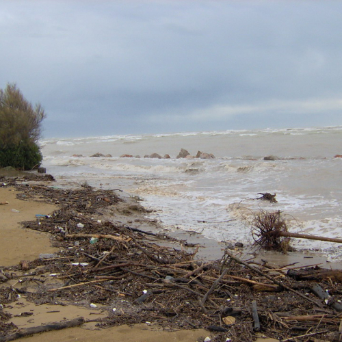 Attivit‡ a Lignano il 01/12 n. 3 / 32801