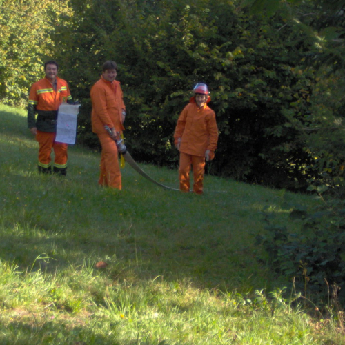 foto Paularo 1 / 17596