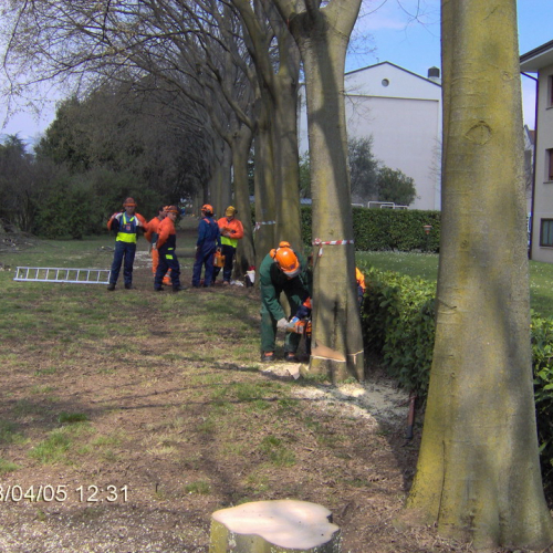 foto Cordenons 05/04/08 n. 35 / 22370
