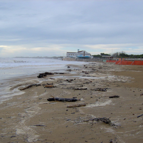 Attivit‡ a Lignano il 01/12 n. 4 / 32802