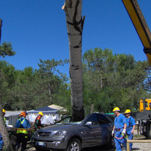 Interventi volontari Grado 11 e 12 agosto n. 6 / 28612