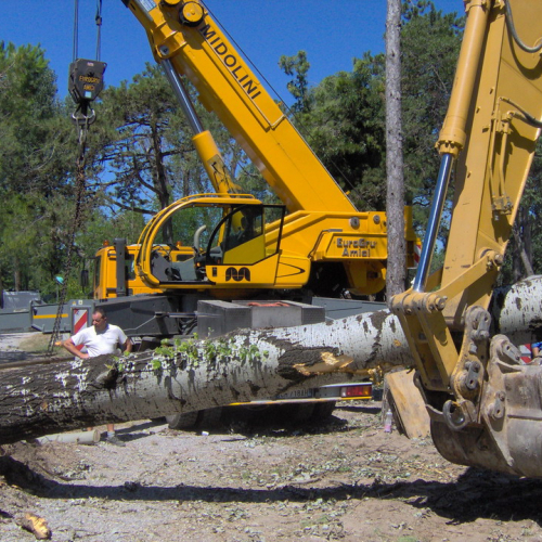 Interventi volontari Grado 11 e 12 agosto n. 10 / 28616
