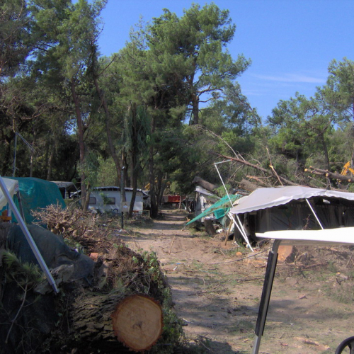 Interventi volontari Grado 11 e 12 agosto n. 26 / 28632