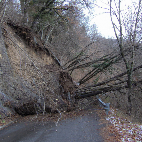 foto frana Lauco 1 / 7665