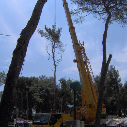 Interventi volontari Grado 11 e 12 agosto n. 35 / 28641