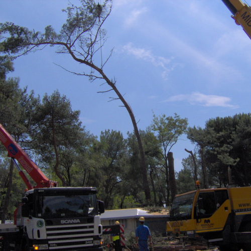 Interventi volontari Grado 11 e 12 agosto n. 36 / 28642