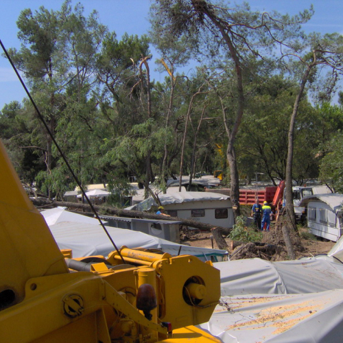 Interventi volontari Grado 11 e 12 agosto n. 37 / 28643