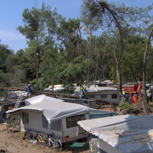Interventi volontari Grado 11 e 12 agosto n. 39 / 28645