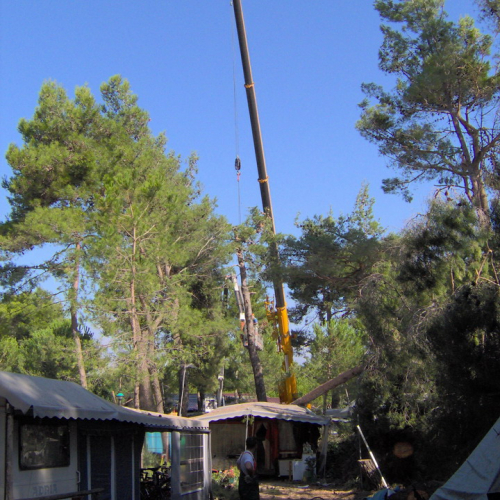 Interventi volontari Grado 11 e 12 agosto n. 41 / 28647