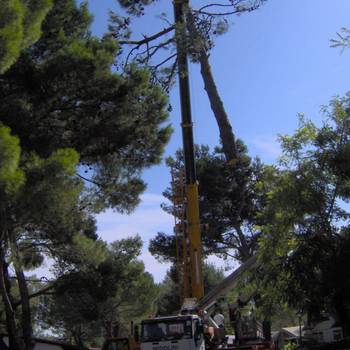 Interventi volontari Grado 11 e 12 agosto n. 43 / 28649