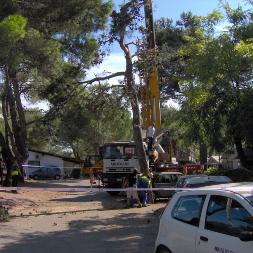 Interventi volontari Grado 11 e 12 agosto n. 44 / 28650