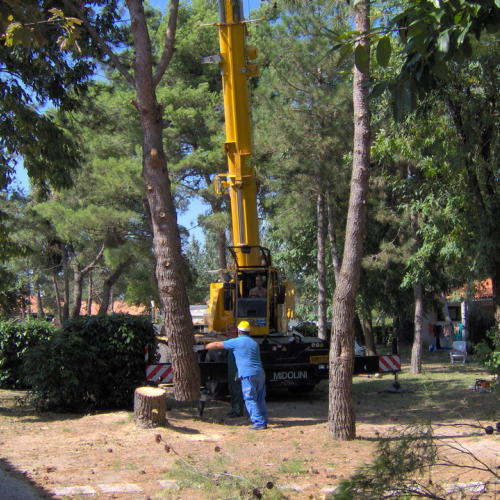 Interventi volontari Grado 11 e 12 agosto n. 46 / 28652