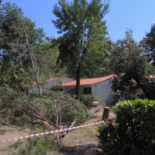Interventi volontari Grado 11 e 12 agosto n. 48 / 28654