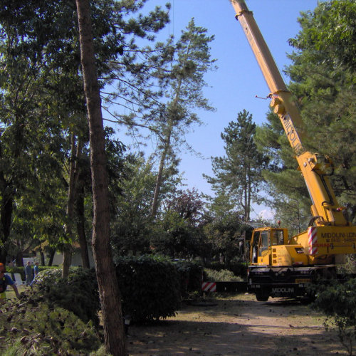 Interventi volontari Grado 11 e 12 agosto n. 49 / 28655