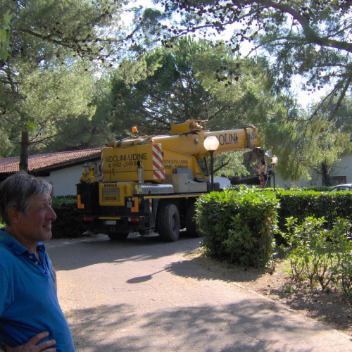 Interventi volontari Grado 11 e 12 agosto n. 52 / 28658