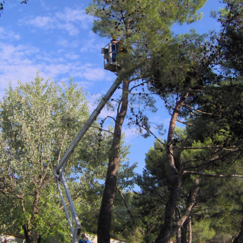 Interventi volontari Grado 11 e 12 agosto n. 53 / 28659