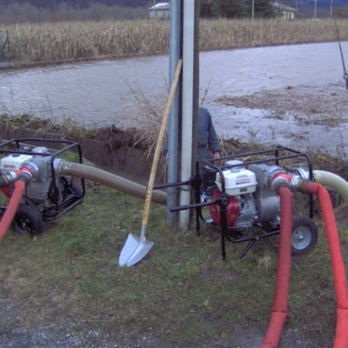 Osoppo 12/12 n. 5 / 33547