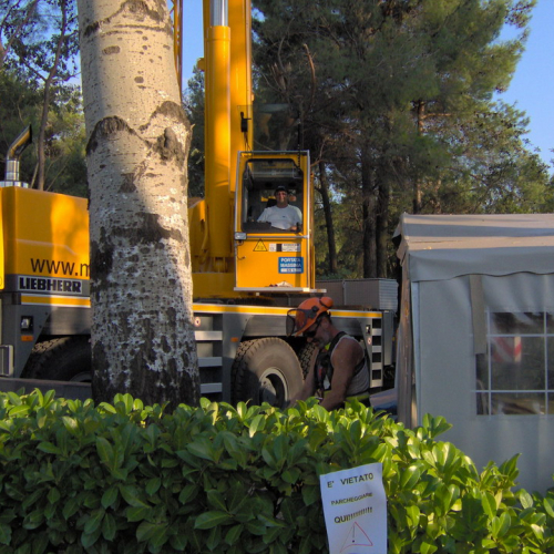 Interventi volontari Grado 11 e 12 agosto n. 61 / 28667