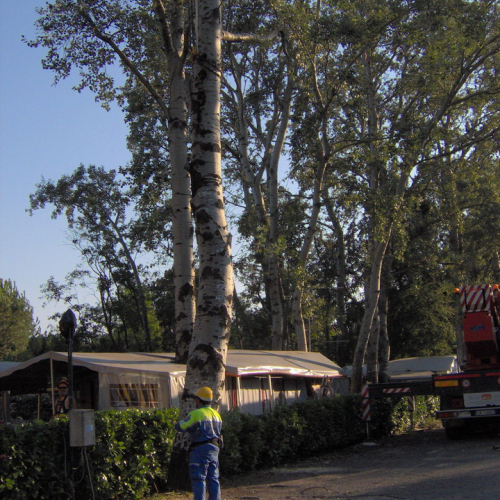 Interventi volontari Grado 11 e 12 agosto n. 62 / 28668