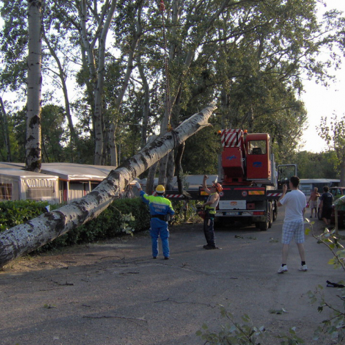 Interventi volontari Grado 11 e 12 agosto n. 63 / 28669
