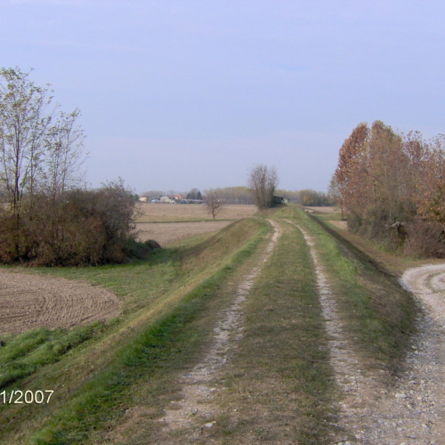 FOTO OPI 447 n. 1 / 19025
