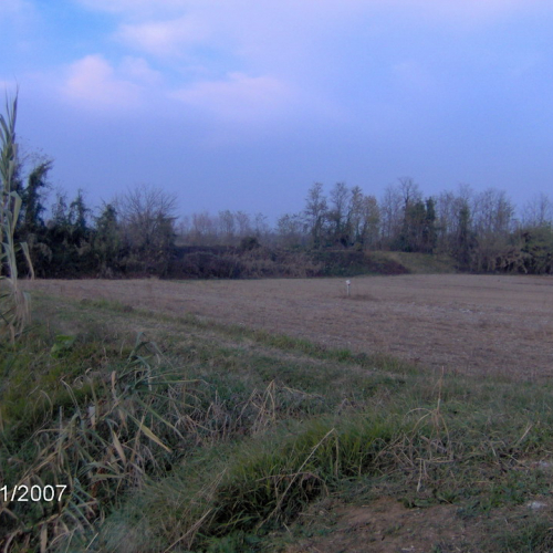 FOTO OPI 447 n. 7 / 19031