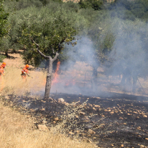 I∞ turno Puglia 2011 n. 15 / 68533