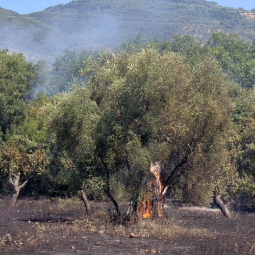 I∞ turno Puglia 2011 n. 16 / 68534