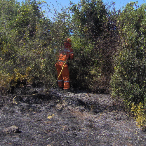 I∞ turno Puglia 2011 n. 18 / 68536