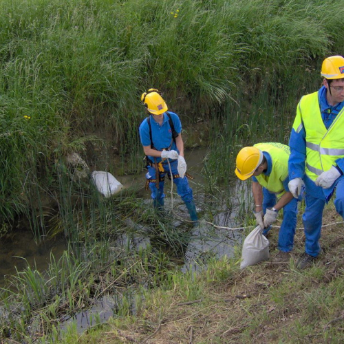 Foto addestramento 17/05 n. 4 / 24225