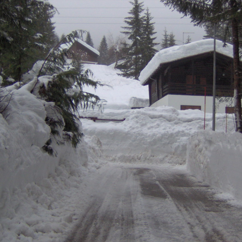 Forni di Sopra n. 4 / 33377