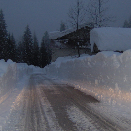 Forni di Sopra n. 13 / 33386