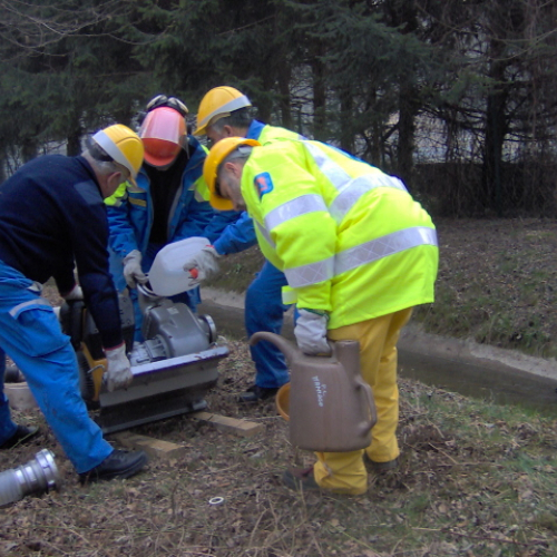 foto Maniago 23/02 n. 4 / 20906