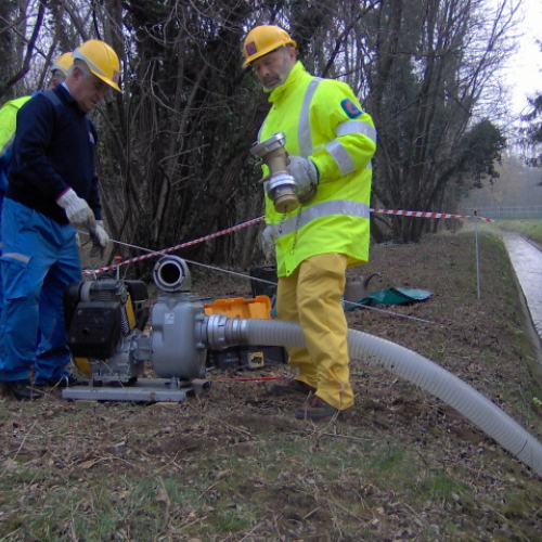 foto Maniago 23/02 n. 7 / 20909