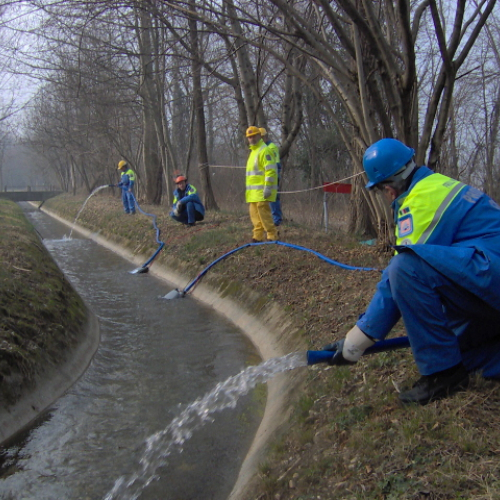 foto Maniago 23/02 n. 11 / 20913