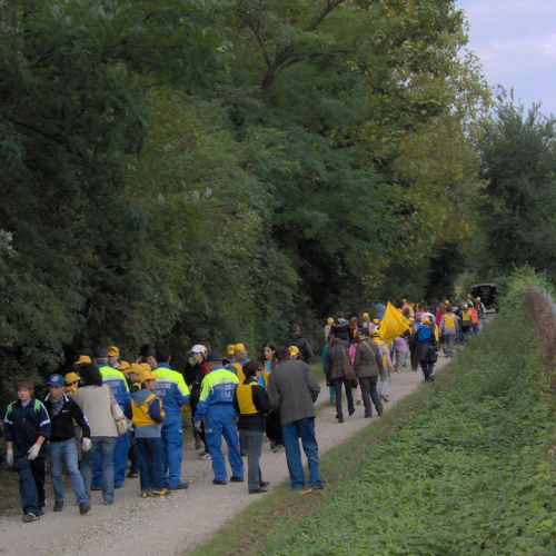 Puliamo il mondo a Sedegliano 3 / 30022