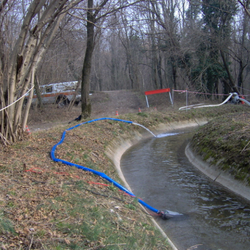 foto Maniago 23/02 n. 15 / 20917