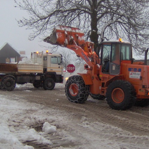 Sauris n. 10 / 33400