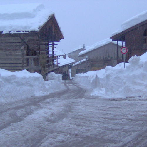 Sauris n. 11 / 33401