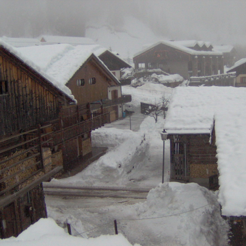 Sauris n. 13 / 33403