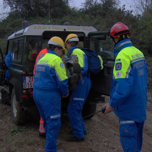 Addestramento 14/11 n. 28 / 45252